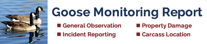 Goose Monitoring.png